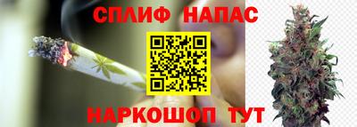 альфа пвп Брянск