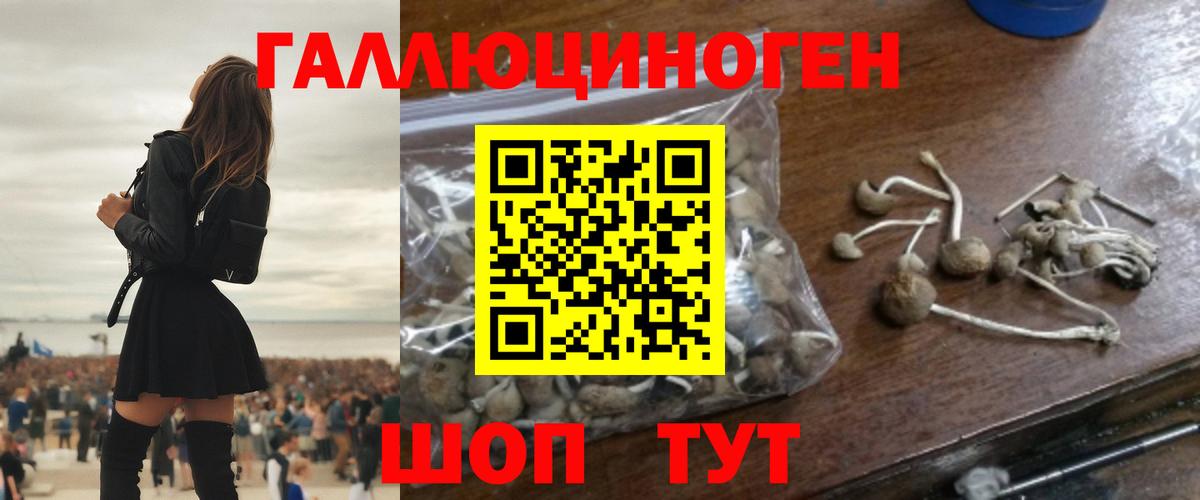 Родники  Псилоцибиновые грибы GOLDEN TEACHER  Вход с VPN  Псилоцибиновые грибы прущие грибы 