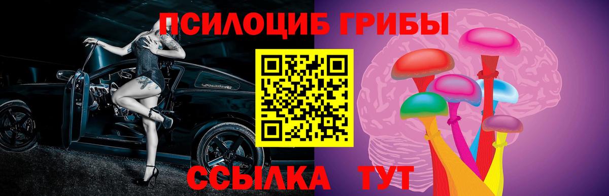 Псилоцибиновые грибы Magic Shrooms Родники